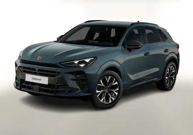 Angebotsdetails Cupra Terramar Blau