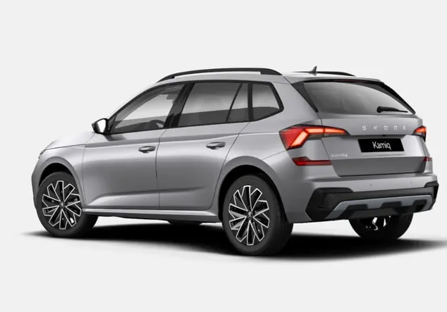 Angebotsdetails Skoda iq TSI 116 Selec SunS Silber