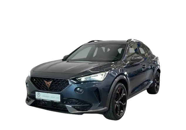 Angebotsdetails Cupra Formentor e-Hybrid 1.4 TSI / Grau (Magnetic Tech)