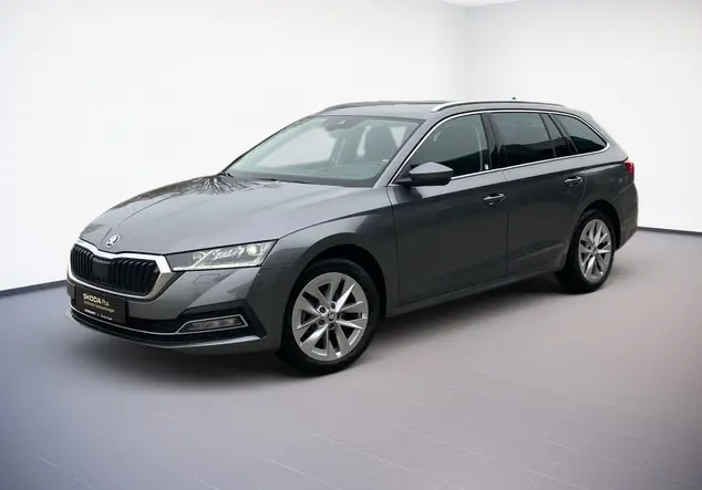 Angebotsdetails Skoda Octavia Graphite-Grau