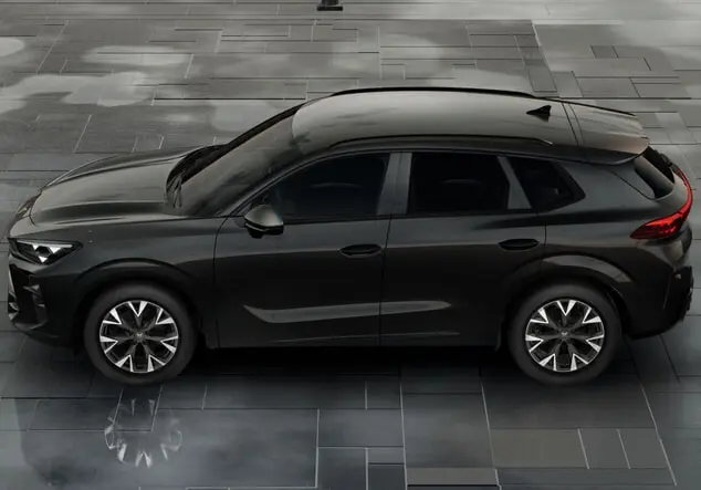 Angebotsdetails Cupra Terramar Schwarz