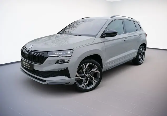 Angebotsdetails Skoda Karoq Stahl-Grau