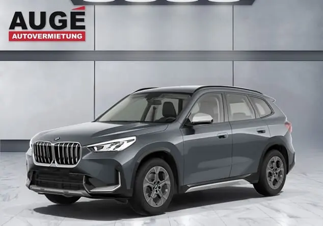 Angebotsdetails BMW X1 Mineralgrau metallic