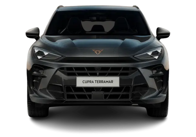 Angebotsdetails Cupra Terramar 1.5 eTSI MHEV 110kW Timanfaya Grau Metallic