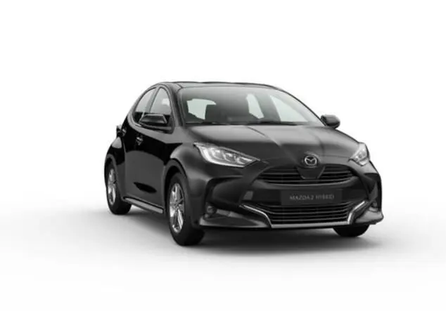 Angebotsdetails Mazda 2 Lead Grey