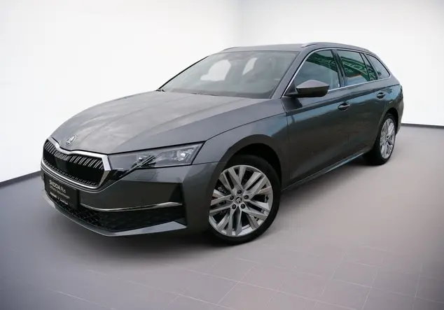 Angebotsdetails Skoda Octavia Graphite-Grau