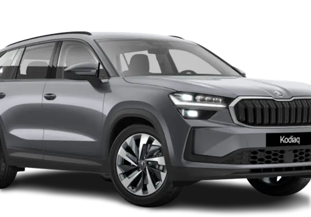 Angebotsdetails Skoda Kodiaq Grau (Graphite Grau)