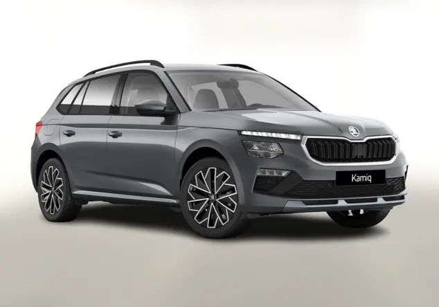 Angebotsdetails Skoda iq TSI 116 Selec SunS Grau