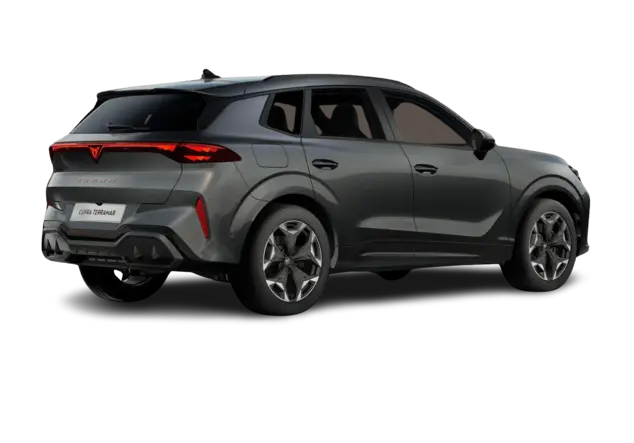 Angebotsdetails Cupra Terramar 2.0 TSI 195kW VZ 4Drive Timanfaya Grau Metallic