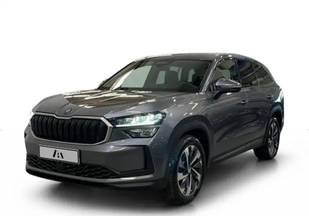 Angebotsdetails Skoda Kodiaq 2.0 TDI Selection Silver/Grey