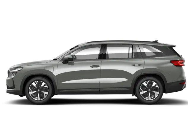 Angebotsdetails Skoda Kodiaq Stahl-Grau