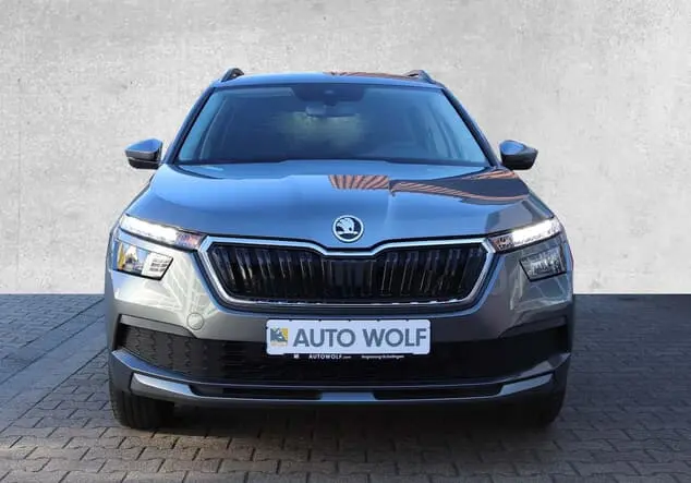 Angebotsdetails Skoda Kamiq Graphite Grau Metallic