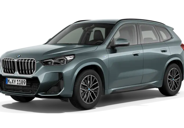 Angebotsdetails BMW X1 sDrive20i Steptronic Cape York Gruen Metallic
