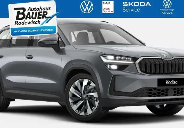 Angebotsdetails Skoda Kodiaq Grau (Graphite Grau)