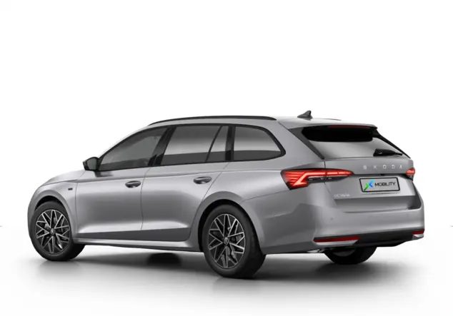 Angebotsdetails Skoda Octavia Combi Tour Silver/Grey