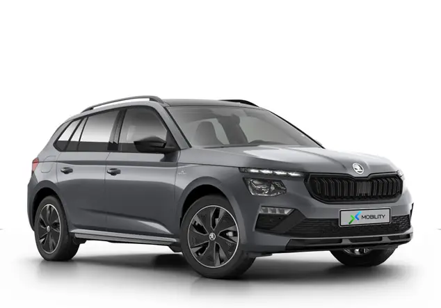 Angebotsdetails Skoda Kamiq Tour Silver/Grey
