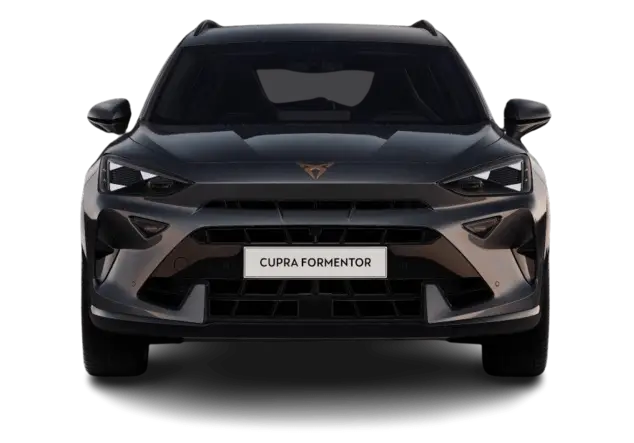 Angebotsdetails Cupra Formentor 2.0 TSI 245kW VZ 4Drive Magnetic Grau Metallic