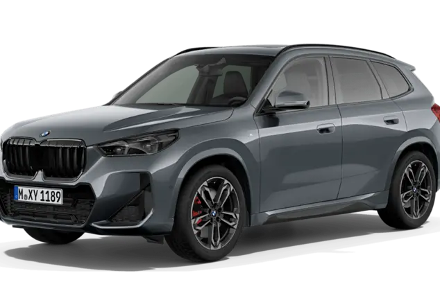 Angebotsdetails BMW X1 sDrive20i Steptronic BMW Individual Storm Bay metallic