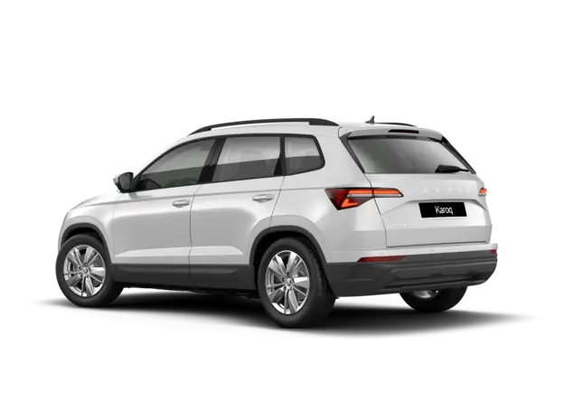 Angebotsdetails Skoda Karoq Moon-Weià Perleffekt