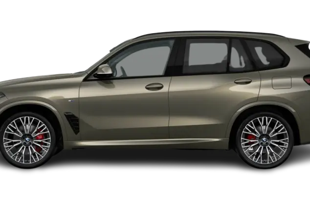 Angebotsdetails BMW X5 xDrive30d Manhattan Metallic