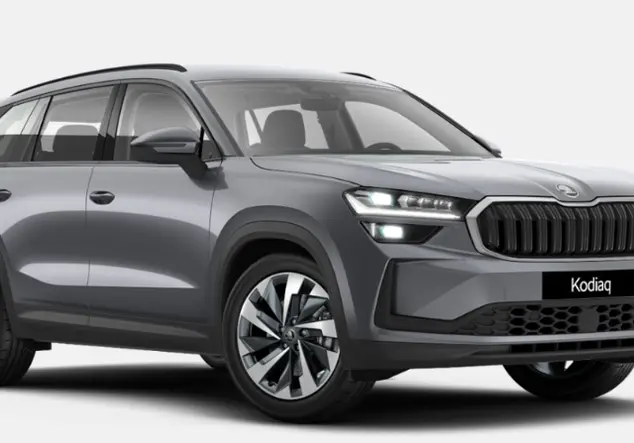 Angebotsdetails Skoda Kodiaq Grau (Graphite Grau)