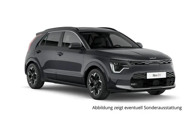 Angebotsdetails Kia Niro Grau