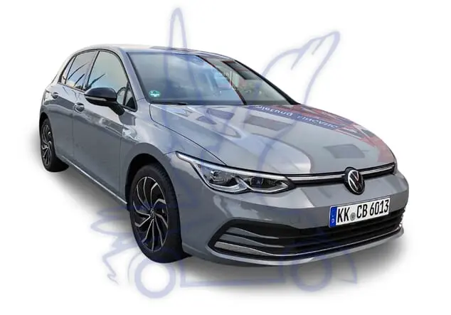 Angebotsdetails Volkswagen Golf Mondsteingrau