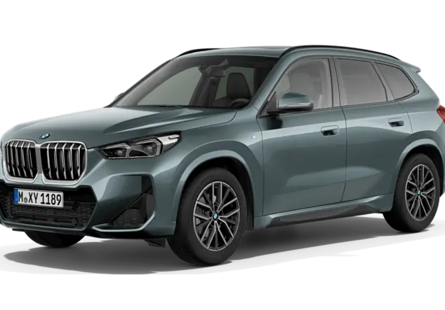 Angebotsdetails BMW X1 sDrive20d Steptronic Cape York Gruen Metallic