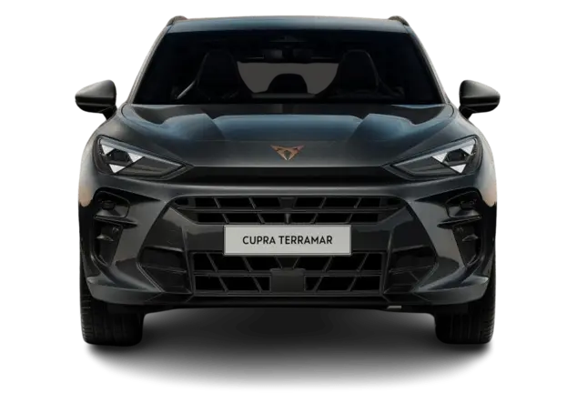 Angebotsdetails Cupra Terramar 2.0 TSI 195kW VZ 4Drive Timanfaya Grau Metallic