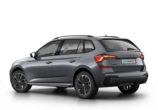 Angebotsdetails Skoda Kamiq Tour Silver/Grey