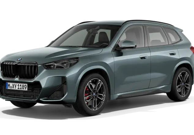 Angebotsdetails BMW X1 xDrive23d Steptronic Cape York Gruen Metallic