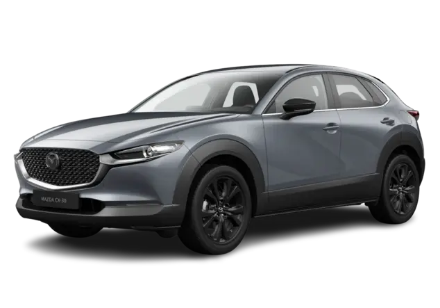 Angebotsdetails Mazda CX-30 POLYMETAL GRAY