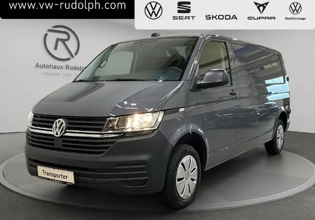 Angebotsdetails Volkswagen Transporter Grau (Pure Grey)