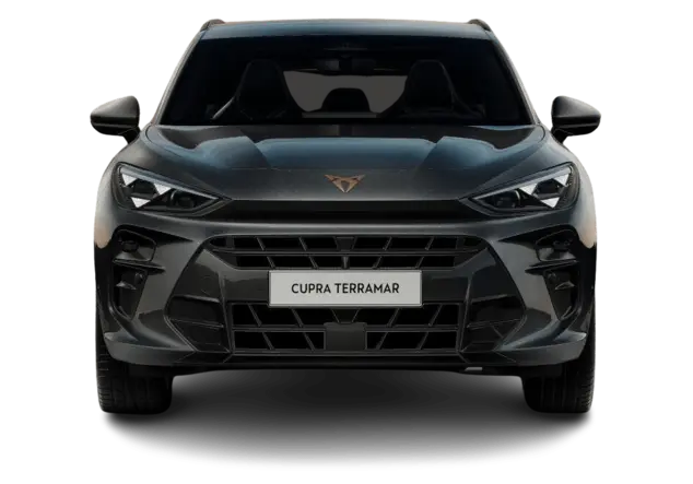 Angebotsdetails Cupra Terramar 2.0 TSI 195kW VZ 4Drive Timanfaya Grau Metallic