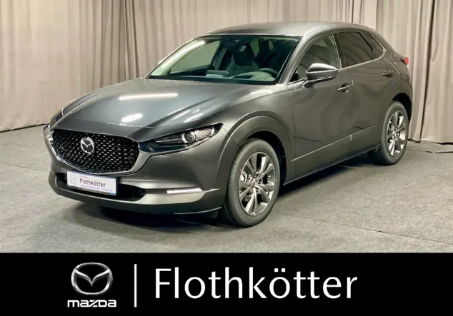 Angebotsdetails Mazda CX-30 grau