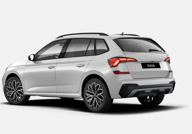 Angebotsdetails Skoda iq TSI 116 Selec SunS Weiß