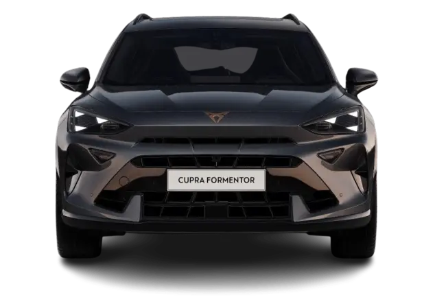 Angebotsdetails Cupra Formentor 2.0 TSI 245kW VZ 4Drive Magnetic Grau Metallic