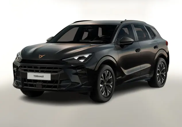 Angebotsdetails Cupra Terramar Schwarz