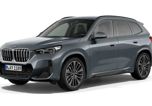 Angebotsdetails BMW X1 xDrive20d Steptronic BMW Individual Storm Bay metallic