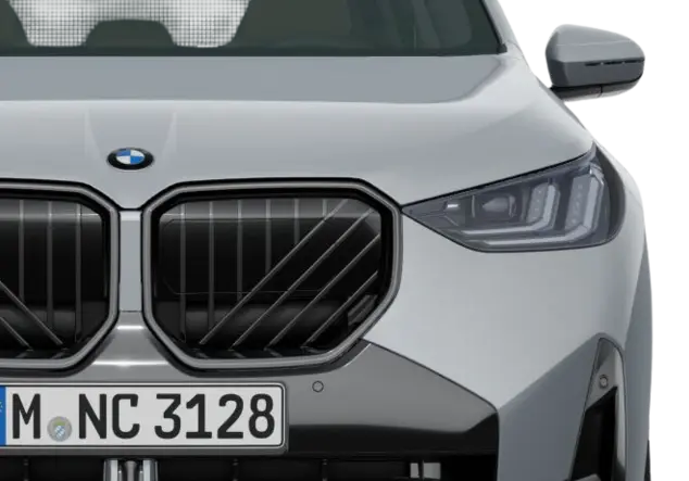 Angebotsdetails BMW X3 xDrive20d AT Brooklyn Grau Metallic