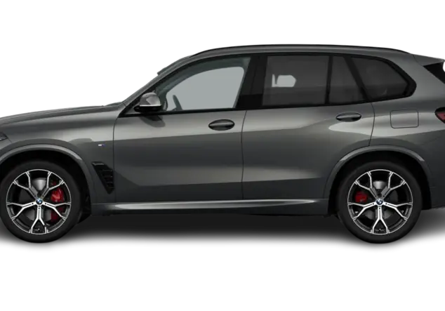 Angebotsdetails BMW X5 xDrive30d BMW Individual Dravitgrau metallic
