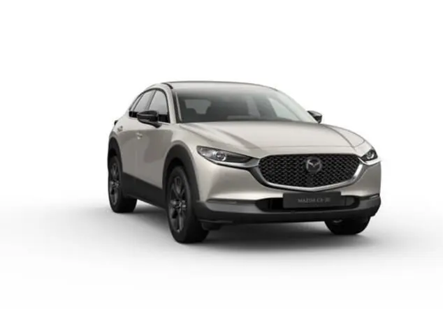 Angebotsdetails Mazda CX-30 PLATINUM QUARTZ M