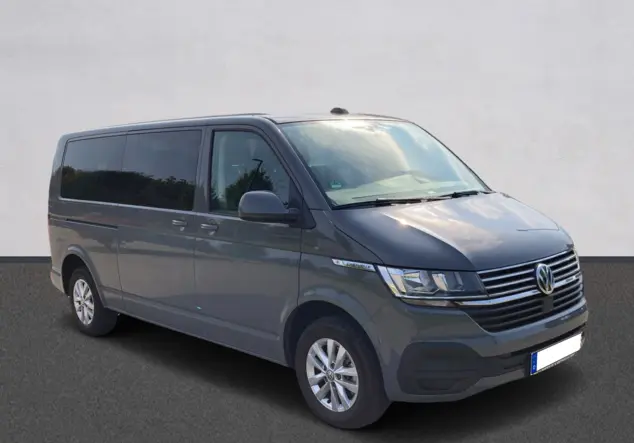 Angebotsdetails Volkswagen T6 grau