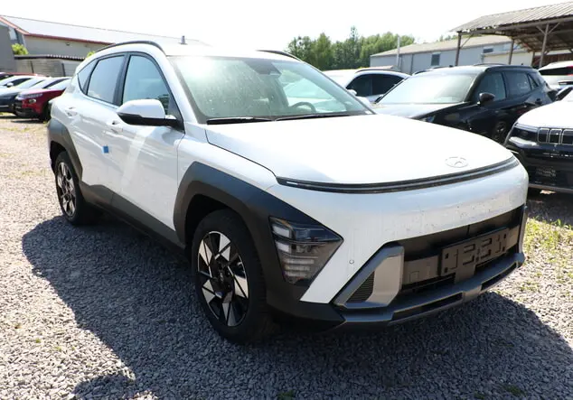 Angebotsdetails Hyundai Kona Weiß