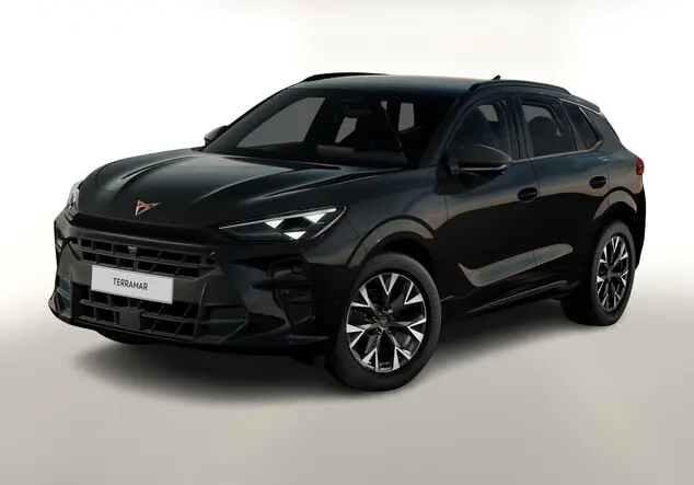 Angebotsdetails Cupra Terramar Schwarz