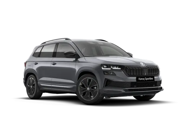 Angebotsdetails Skoda Karoq Graphite-Grau Metallic