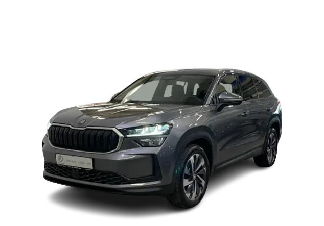 Angebotsdetails Skoda Kodiaq Grau (Graphite-Grau Metallic)