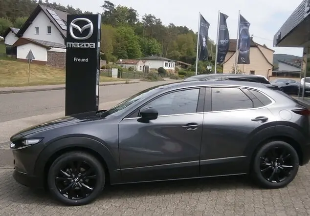 Angebotsdetails Mazda CX-30 2.5L e-SKYACTIV G 140 PS 6MT HOMURA Machine Gray