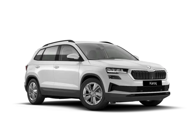 Angebotsdetails Skoda Karoq Moon-Weià Perleffekt