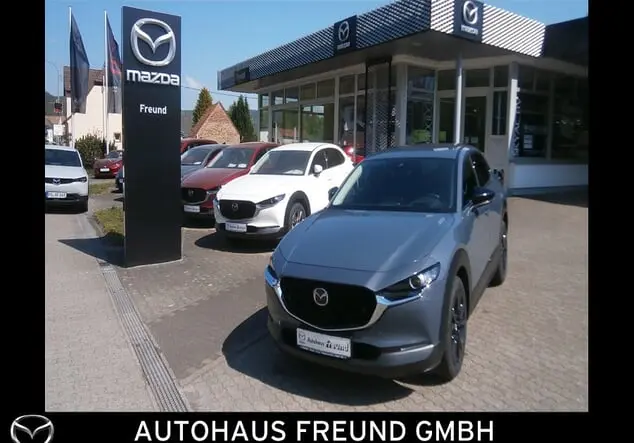 Angebotsdetails Mazda CX-30 POLYMETAL GRAY